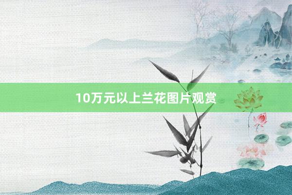 10万元以上兰花图片观赏