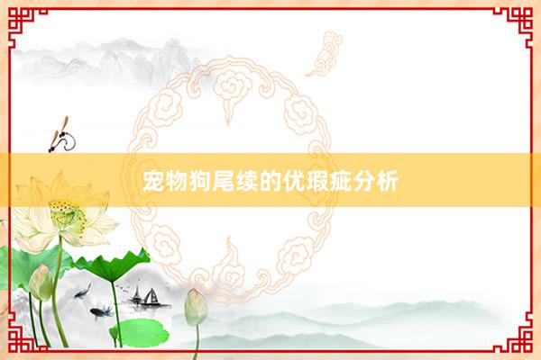 宠物狗尾续的优瑕疵分析