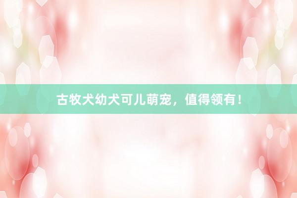 古牧犬幼犬可儿萌宠,值得领有!