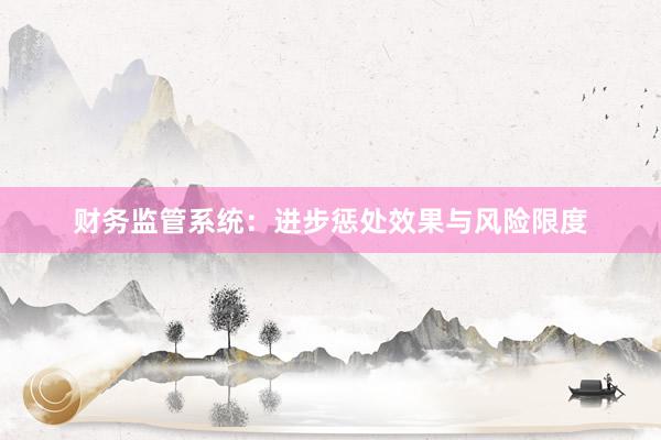 财务监管系统：进步惩处效果与风险限度